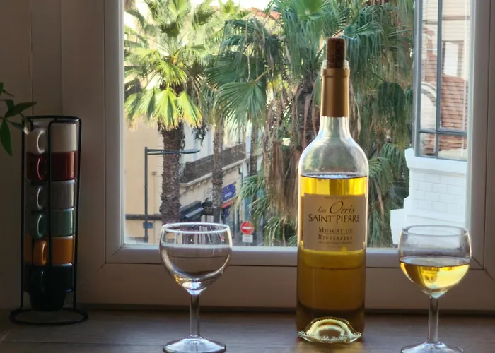 Le Cosy Perpignan Centre, 2 Rooms 2 Bathrooms, Free Wifi, Lift, Central, Renovated, Spacious